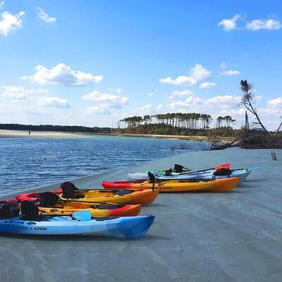 Kayak Salt Marsh Maze Tour